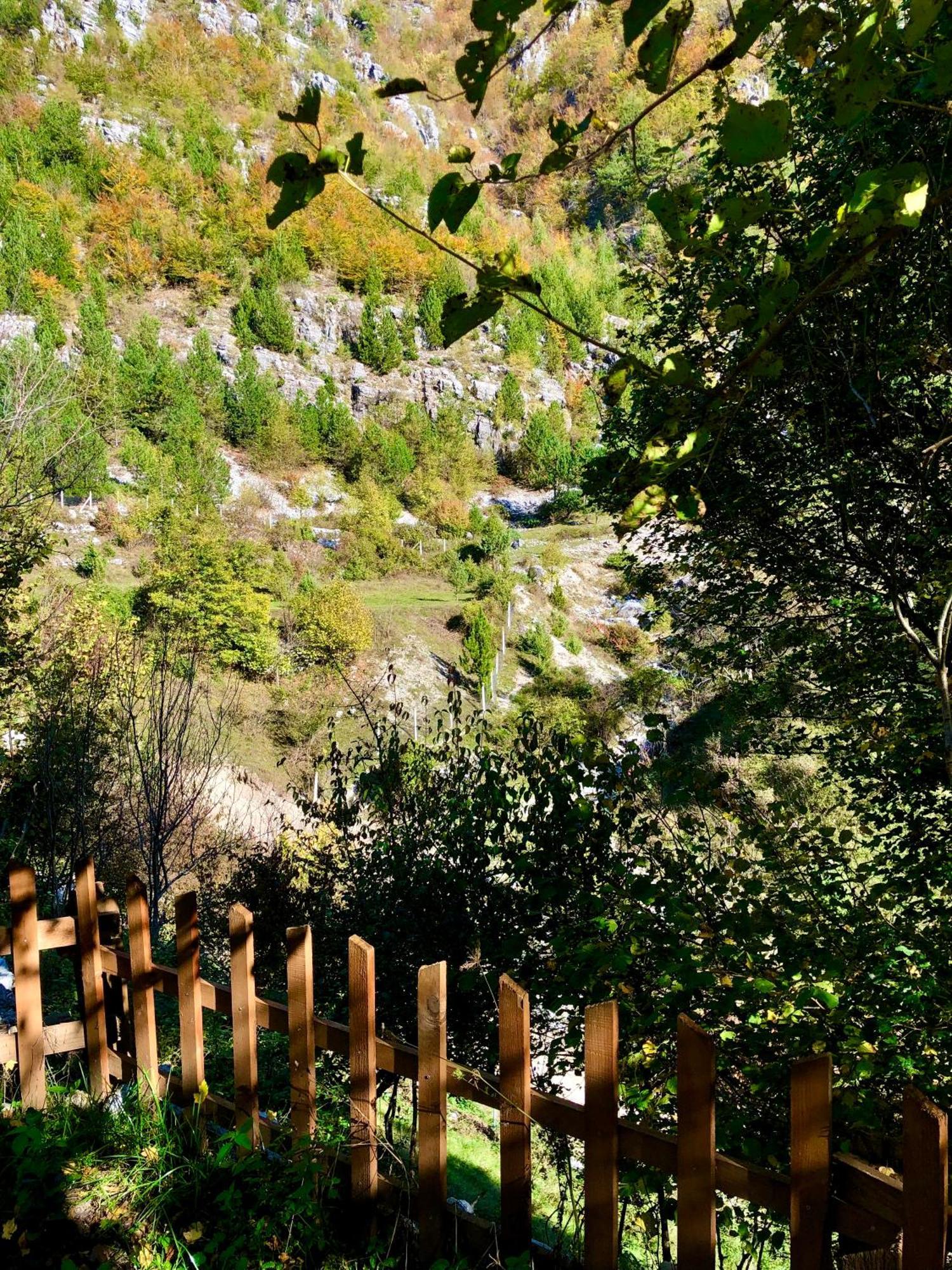 Bujtina Pllumi Theth Bed and Breakfast Εξωτερικό φωτογραφία